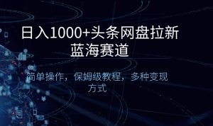 日入1000+头条网盘拉新蓝海赛道，简单操作，保姆级教程，多种变现方式-锦晨科技网