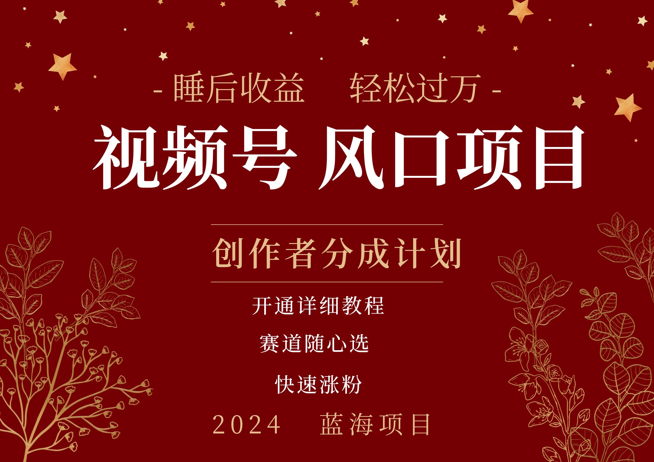 拥有睡眠收益的微信视频号大风口项目,轻松月入过万+,多赛道选择,可矩阵,玩法简单轻松上手-锦晨科技网