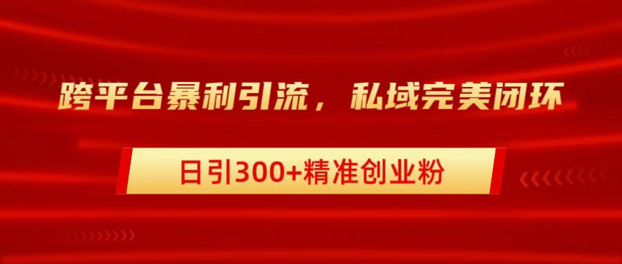跨平台暴力引流,私域完美闭环,日引300+精准创业粉-锦晨科技网