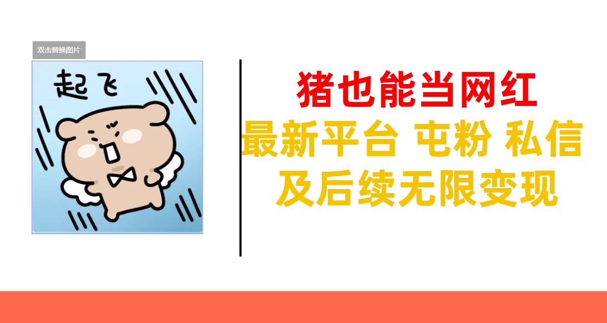 猪也能当网红-最新平台 屯粉 交流 私信 及后续无限变现-锦晨科技网