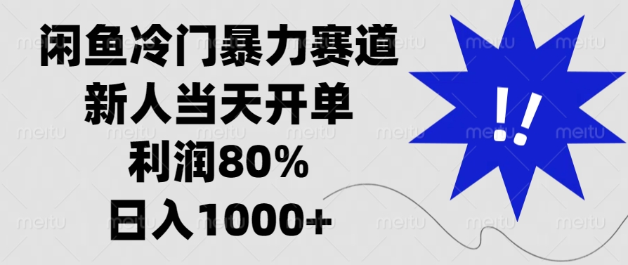 闲鱼冷门暴力赛道，利润80%，日入1000+新人当天开单，-锦晨科技网