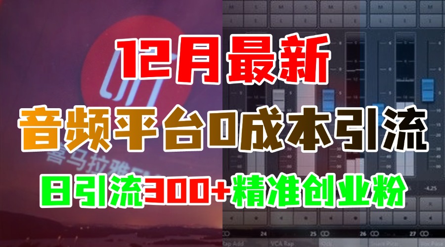 12月最新:音频平台0成本引流,日引300+精准创业粉-锦晨科技网