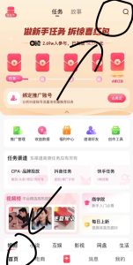 图片[1]-月入上万的抖推猫赚钱平台来了！适合所有人群-锦晨科技网