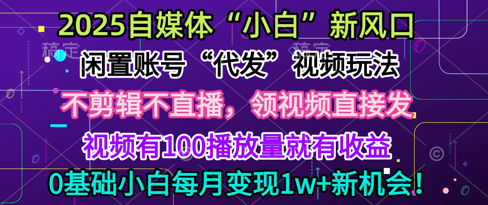 2025每月躺赚5w+新机会，闲置视频账号一键代发玩法，0粉不实名不剪辑，领了视频直接发，0基础小白也能日入300+-锦晨科技网