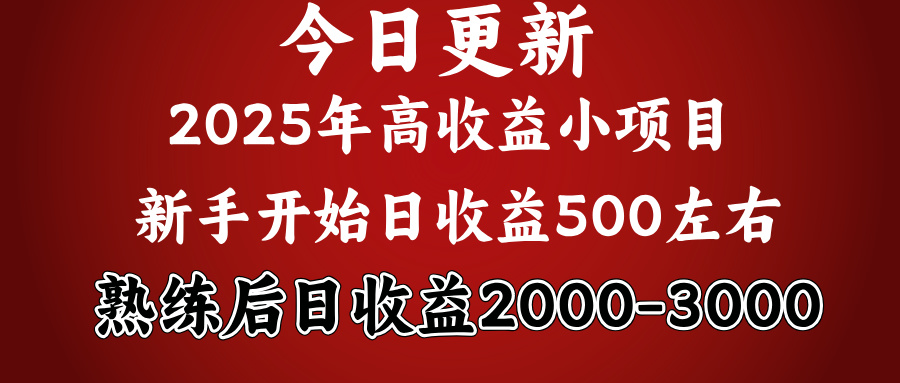 好项目一眼就能看出来，日收益1000，长久可做，2025拼的就是我比你勤奋-锦晨科技网