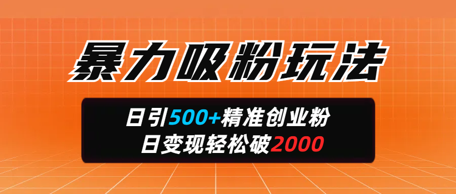 暴力吸粉玩法，日引500+精准创业粉，日变现轻松破2000-锦晨科技网