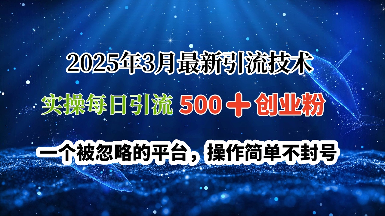 2025年3月最新引流技术，实操每日引流500➕创业粉，一个被忽略的平台，操作简单不封号-锦晨科技网