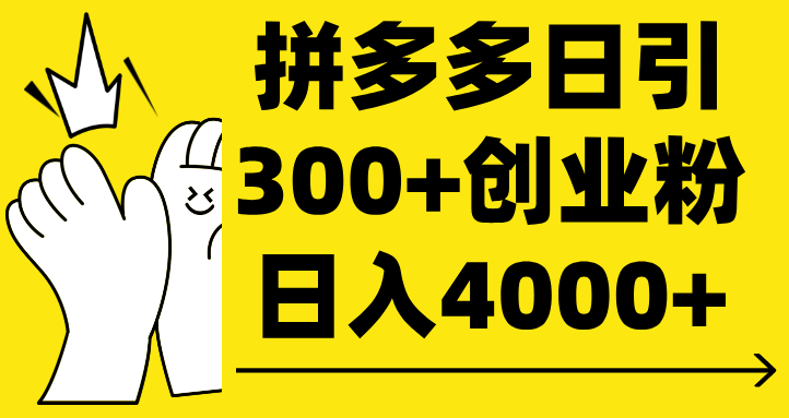 拼多多日引300+创业粉 日入4000+-锦晨科技网