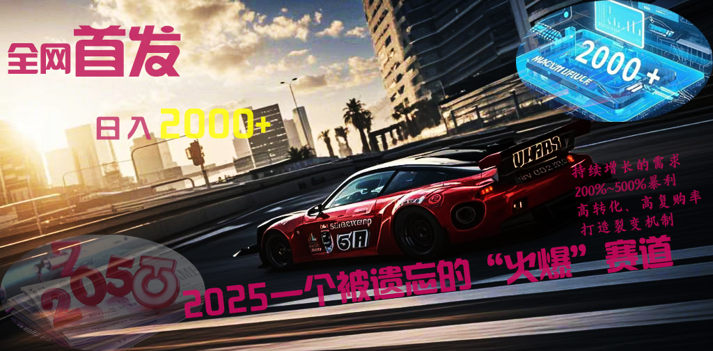 全网首发:2025一个被遗忘的“火爆”赛道轻松日入2000+-锦晨科技网