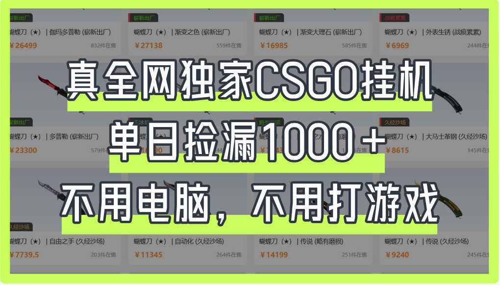 真全网独家CSGO挂机，单日捡漏1000+-锦晨科技网