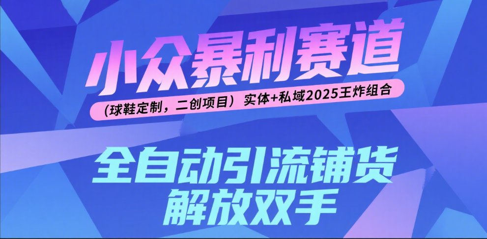 楠—小众暴利赛道（球鞋定制，二创项目）实体+私域2025王炸组合-锦晨科技网