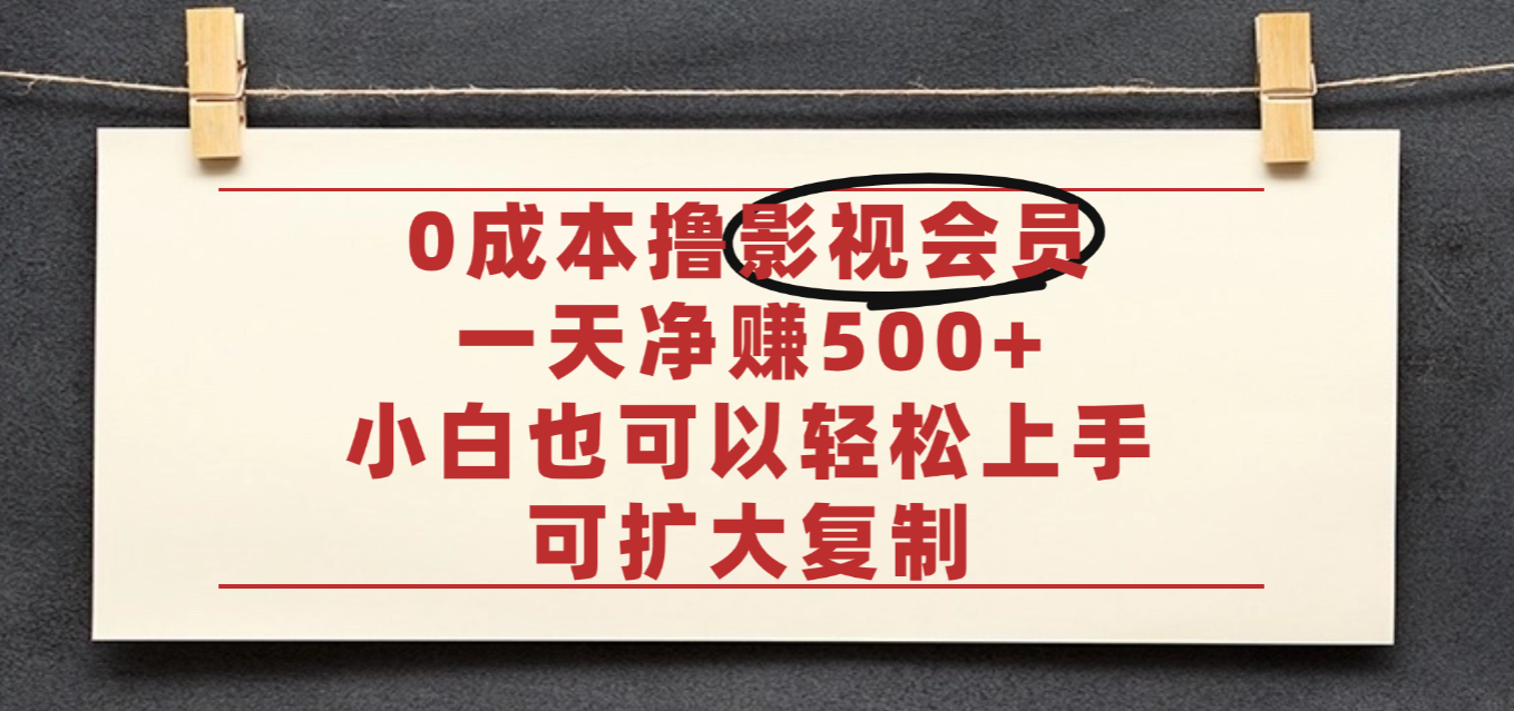 亲测，0成本可批量操作，靠卖影视会员实测月入30000+-锦晨科技网