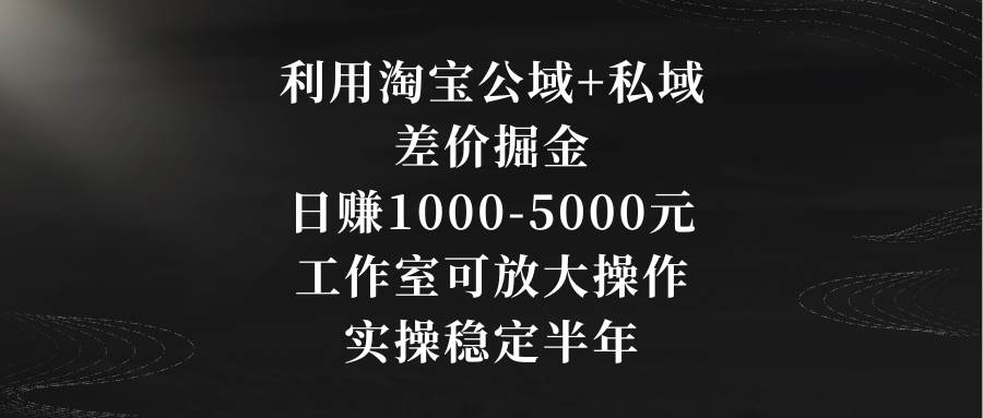 利用淘宝公域+私域差价掘金,日赚1000-5000元,工作室可放大操作,实操...-锦晨科技网