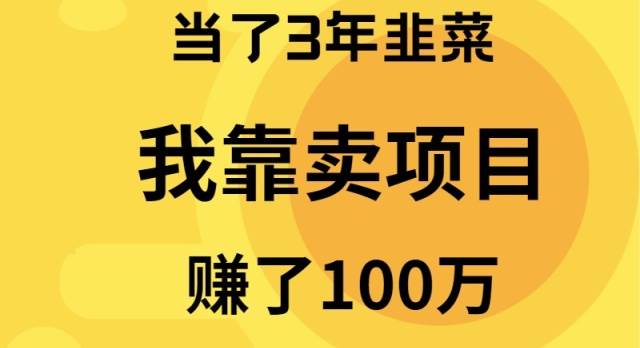 当了3年韭菜,我靠卖项目赚了100万-锦晨科技网