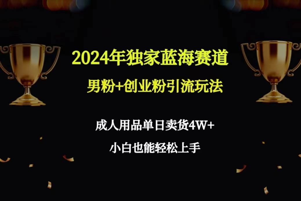 2024年独家蓝海赛道男粉+创业粉引流玩法，成人用品单日卖货4W+保姆教程-锦晨科技网