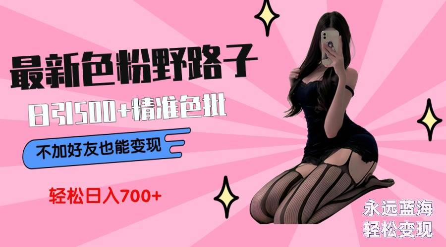 最新色粉变现野路子，日引500+老色批 可不加好友直接变现 小白轻松日入700+-锦晨科技网