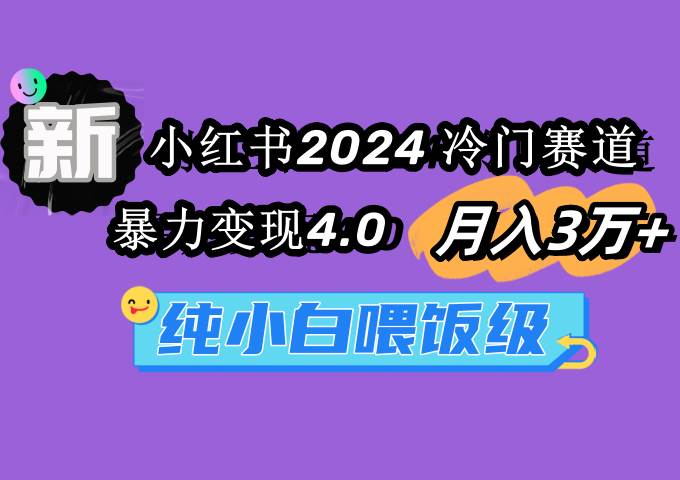 小红书2024冷门赛道 月入3万+ 暴力变现4.0 纯小白喂饭级-锦晨科技网