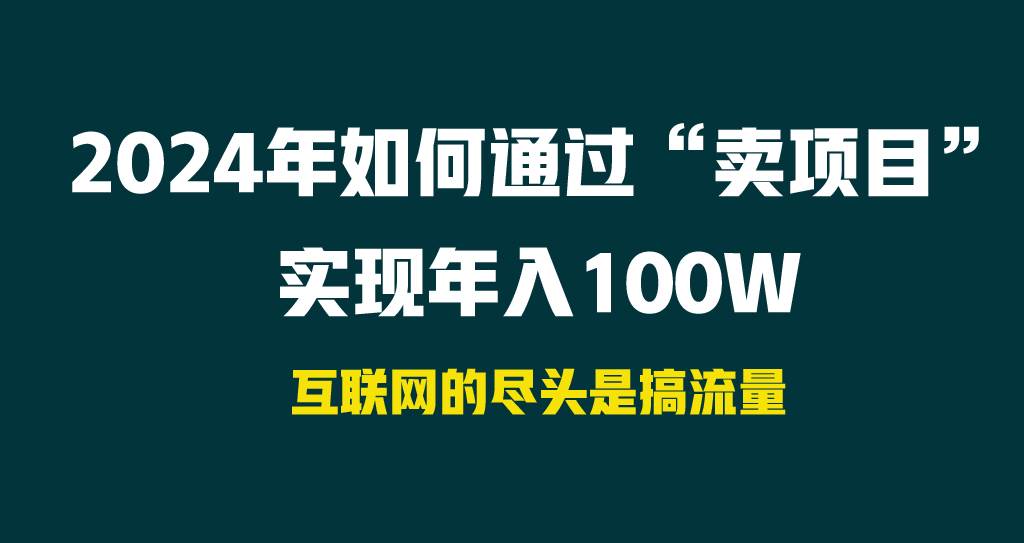 2024年如何通过“卖项目”实现年入100W-锦晨科技网