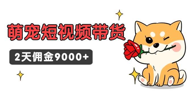 东哲日记·萌宠短视频带货，2天佣金9000+-锦晨科技网