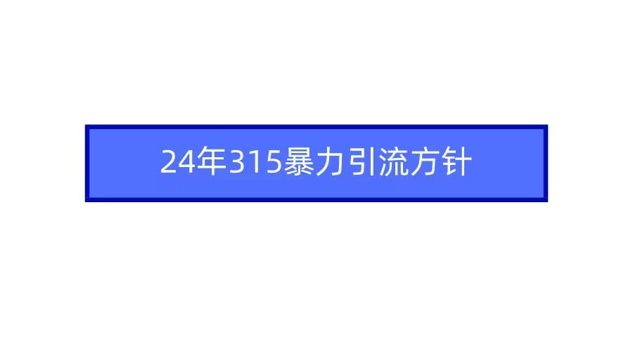 2024年315暴力引流方针-锦晨科技网