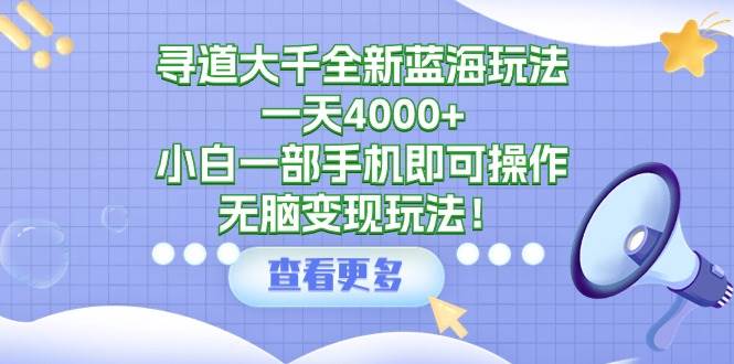寻道大千全新蓝海玩法，一天4000+，小白一部手机即可操作，无脑变现玩法！-锦晨科技网