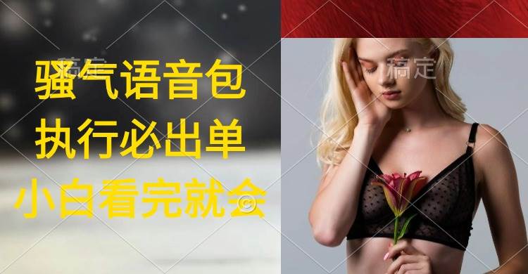 执行就出单，日入2000+，超火骚气语音包，小白看完课程就能马上实操-锦晨科技网