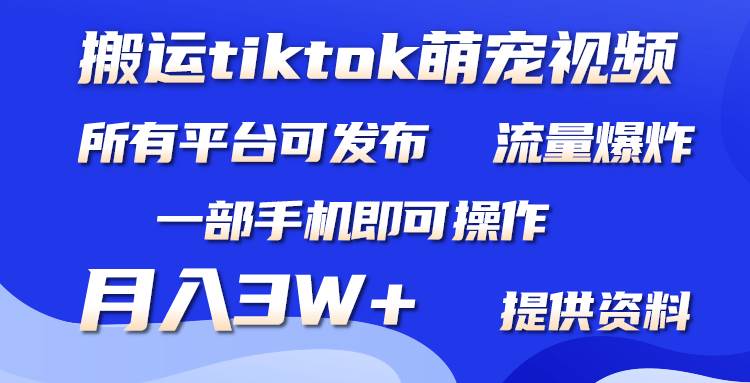 搬运Tiktok萌宠类视频，一部手机即可。所有短视频平台均可操作，月入3W+-锦晨科技网