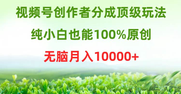 视频号创作者分成顶级玩法，纯小白也能100%原创，无脑月入10000+-锦晨科技网