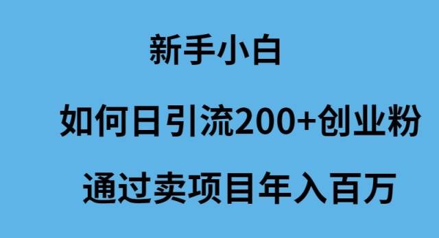 新手小白如何日引流200+创业粉通过卖项目年入百万-锦晨科技网
