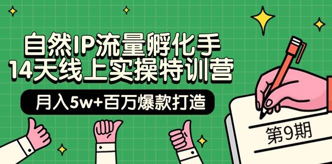 自然IP流量孵化手 14天线上实操特训营【第9期】月入5w+百万爆款打造 (74节)-锦晨科技网