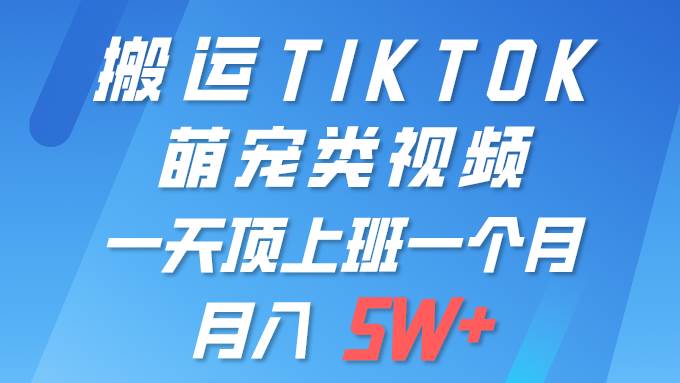 一键搬运TIKTOK萌宠类视频 一部手机即可操作 所有平台均可发布 轻松月入5W+-锦晨科技网