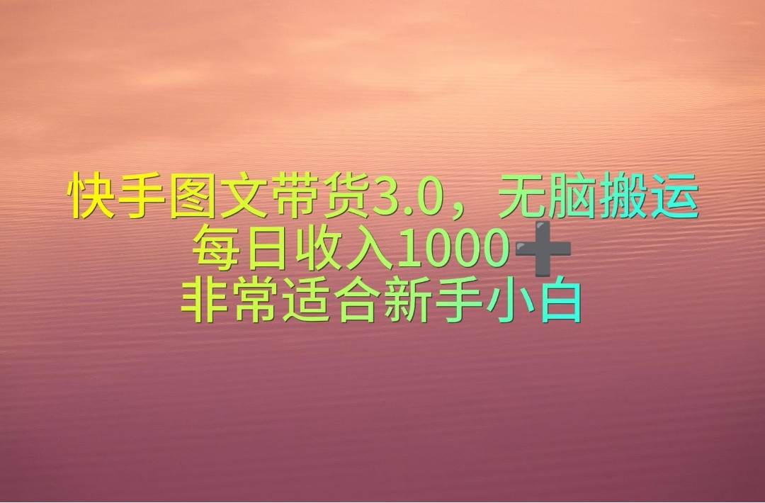 快手图文带货3.0，无脑搬运，每日收入1000＋，非常适合新手小白-锦晨科技网