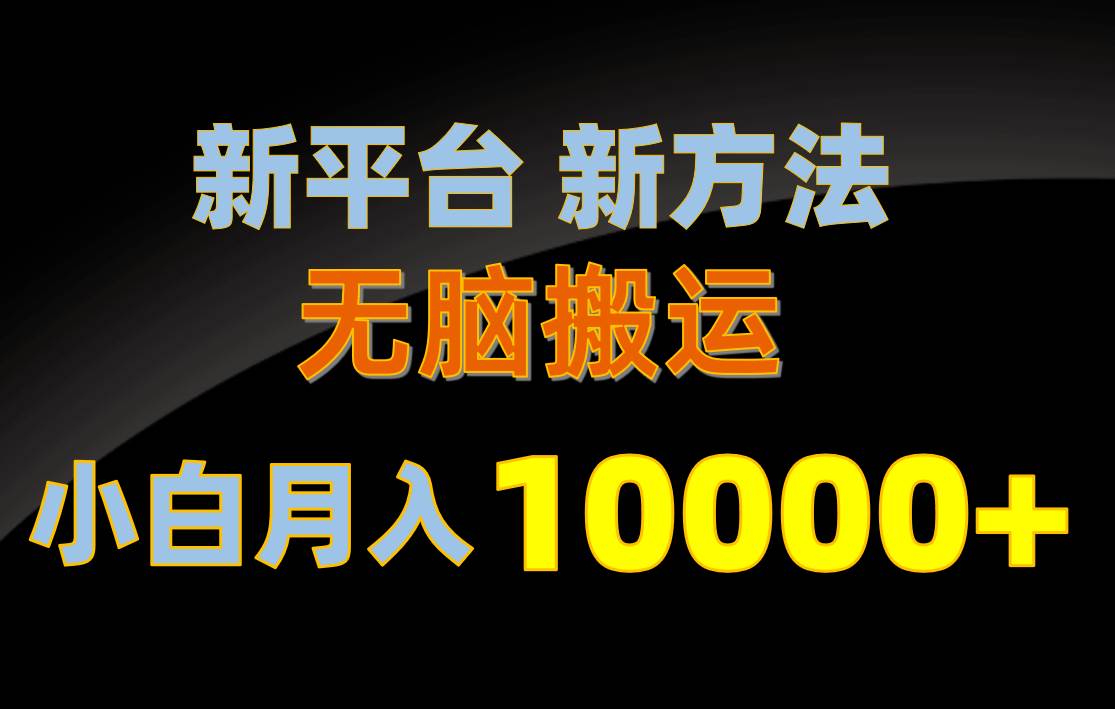 新平台新方法，无脑搬运，月赚10000+，小白轻松上手不动脑-锦晨科技网