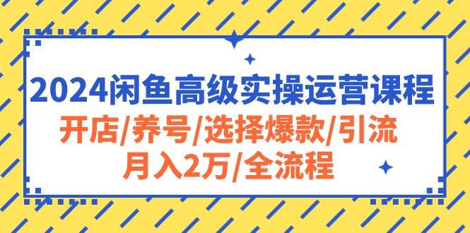 2024闲鱼高级实操运营课程：开店/养号/选择爆款/引流/月入2万/全流程-锦晨科技网