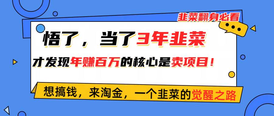 悟了，当了3年韭菜，才发现网赚圈年赚100万的核心是卖项目，含泪分享！-锦晨科技网