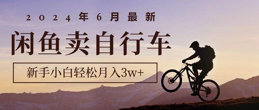 2024年6月最新闲鱼卖自行车，新手小白轻松月入3w+项目-锦晨科技网
