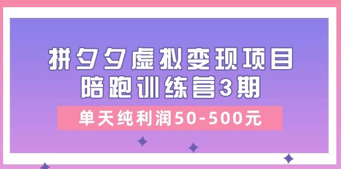 某收费培训《拼夕夕虚拟变现项目陪跑训练营3期》单天纯利润50-500元-锦晨科技网
