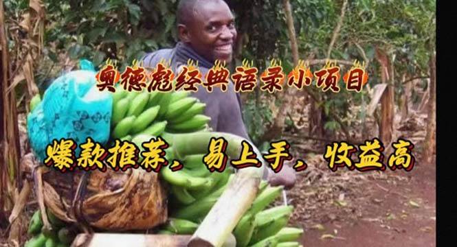 奥德彪经典语录小项目，爆款推荐，易上手，收益高-锦晨科技网