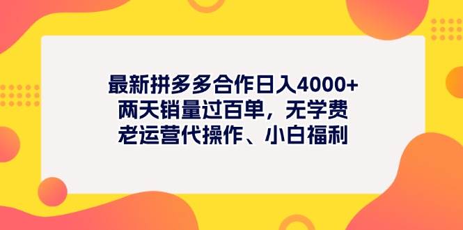 最新拼多多项目日入4000+两天销量过百单，无学费、老运营代操作、小白福利-锦晨科技网
