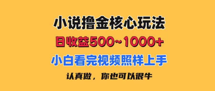 小说撸金核心玩法，日收益500-1000+，小白看完照样上手，0成本有手就行-锦晨科技网