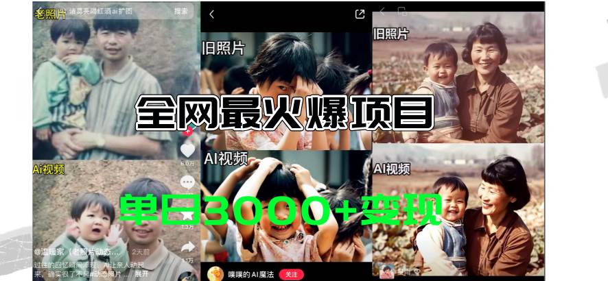 全网爆火的AI让老照片动起来教程，蹭热点日赚3000+，内含免费工具一键...-锦晨科技网