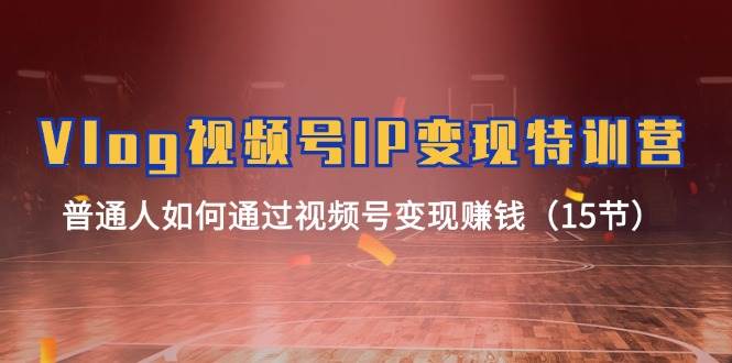 Vlog 视频号IP变现特训营，普通人如何通过视频号变现赚钱（15节）-锦晨科技网