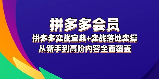 拼多多 会员，拼多多实战宝典+实战落地实操，从新手到高阶内容全面覆盖-锦晨科技网